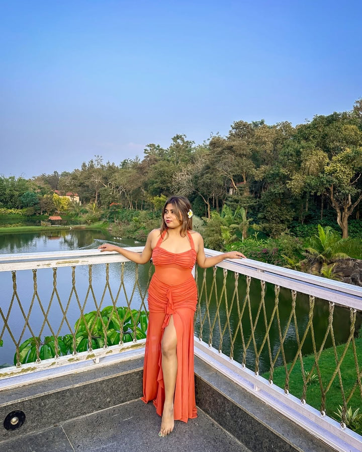 Bonsai mesh dress