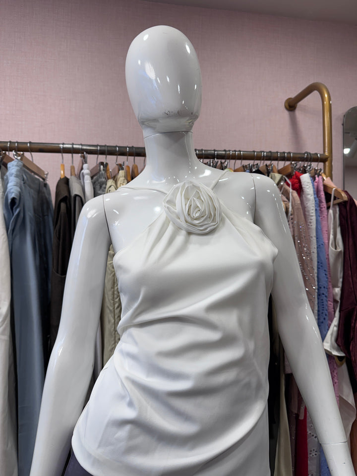 Rosy halter neck top